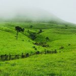 wildlife-and-nature-tour-01