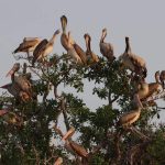 wildlife-and-nature-tour-02