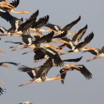 wildlife-and-nature-tour-03